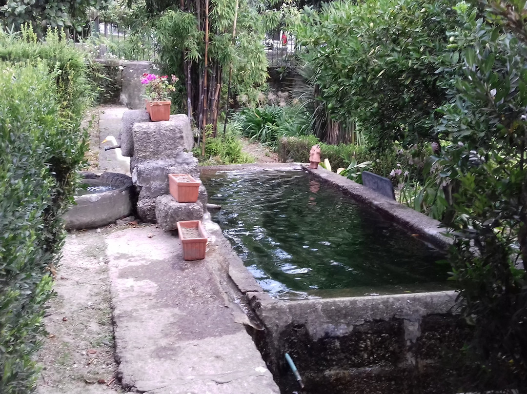 Casa dos Pombais主图