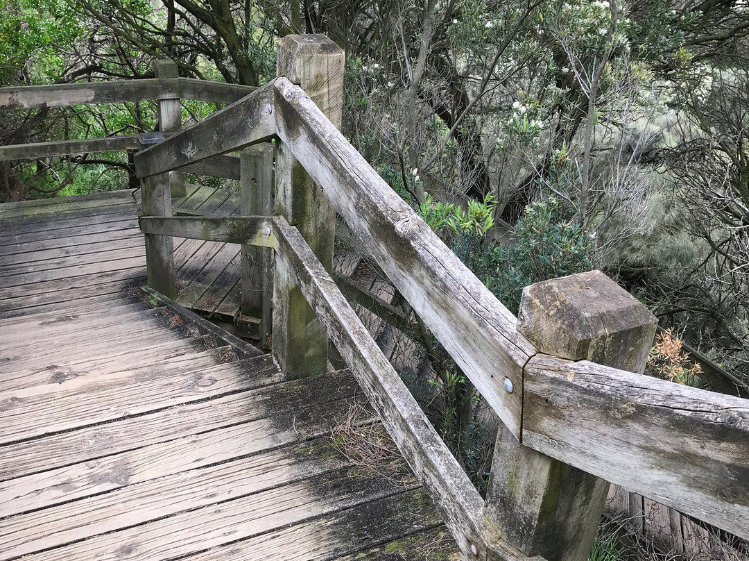 Shack Bay-Inverloch必去景点