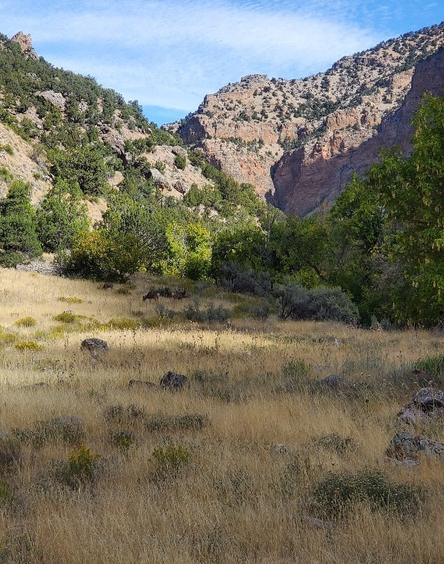 Jones Hole Trail-Dinosaur必去景点