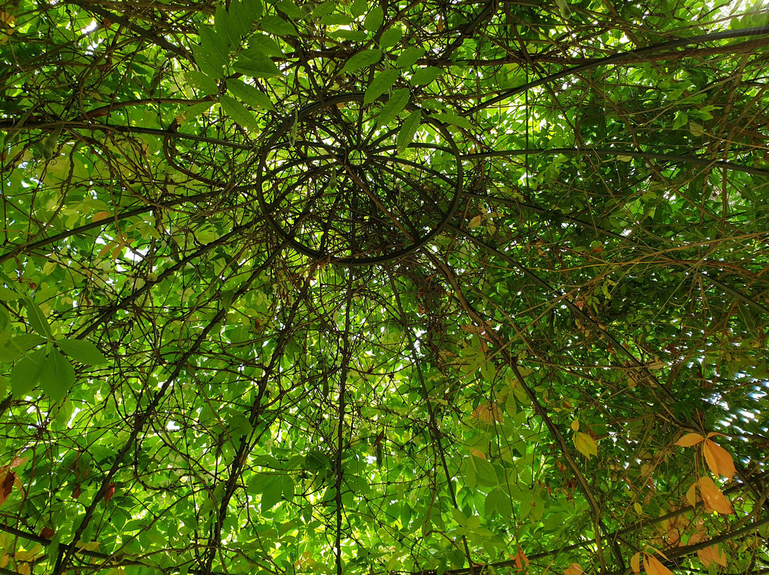 Jardín Botánico de La Rioja-Azofra必去景点