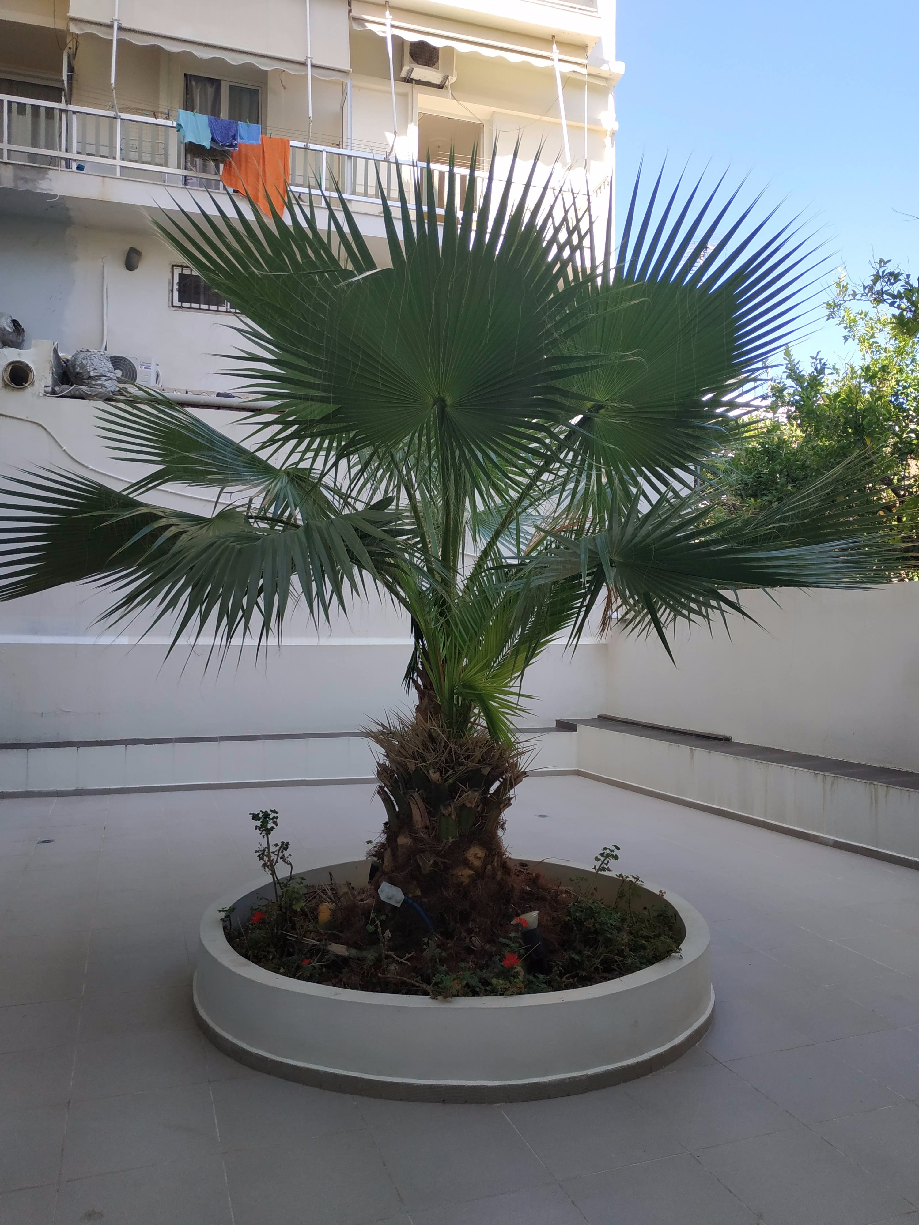 Olympic Palladium Hotel-浴室