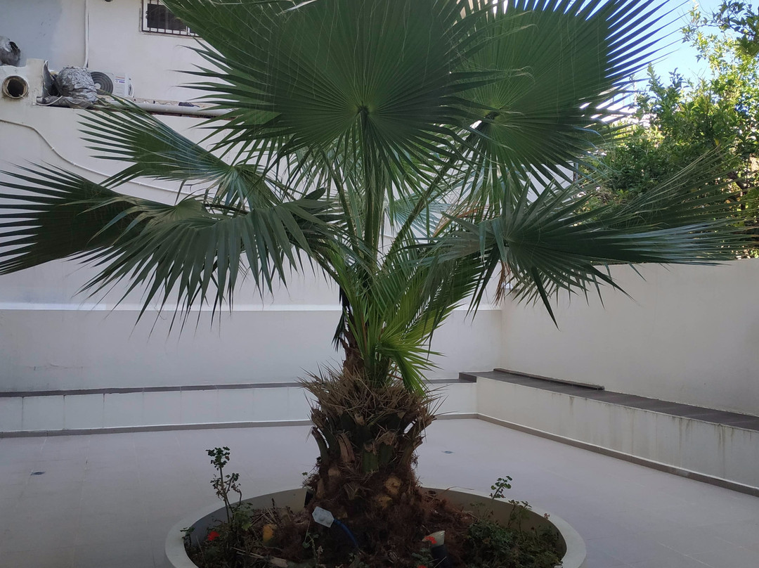 Olympic Palladium Hotel主图