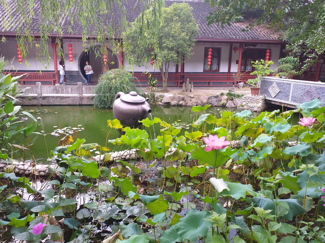 杭州龙井山园茶文化村景点图片