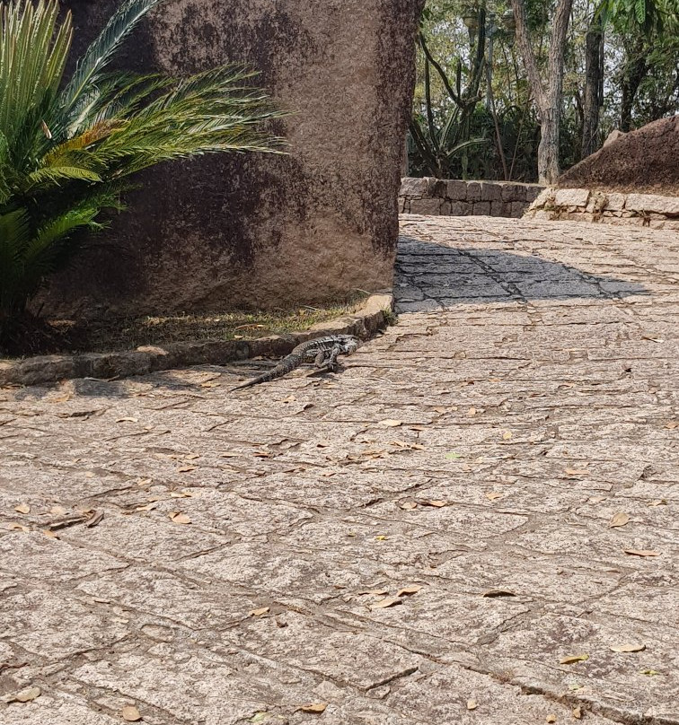 Parque de Lavras-Salto必去景点