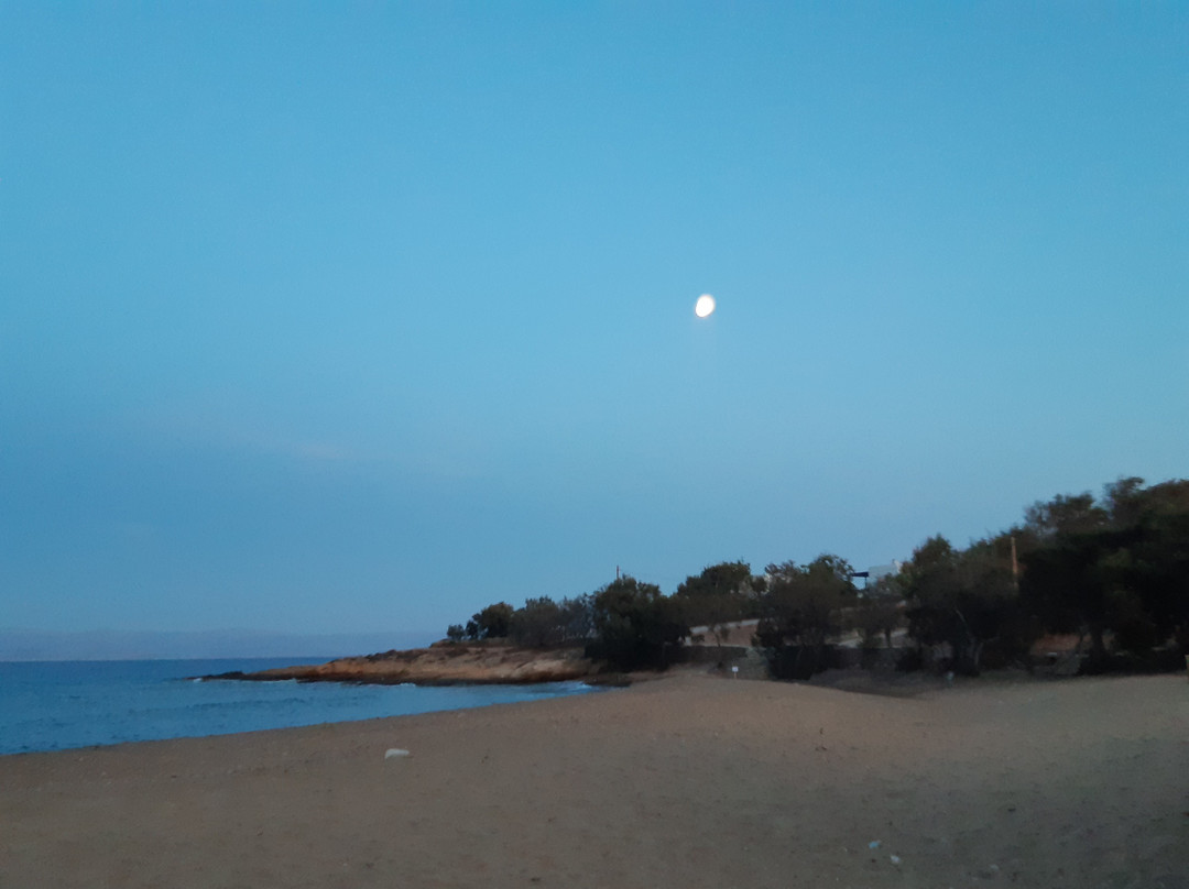 Ragoussis House主图