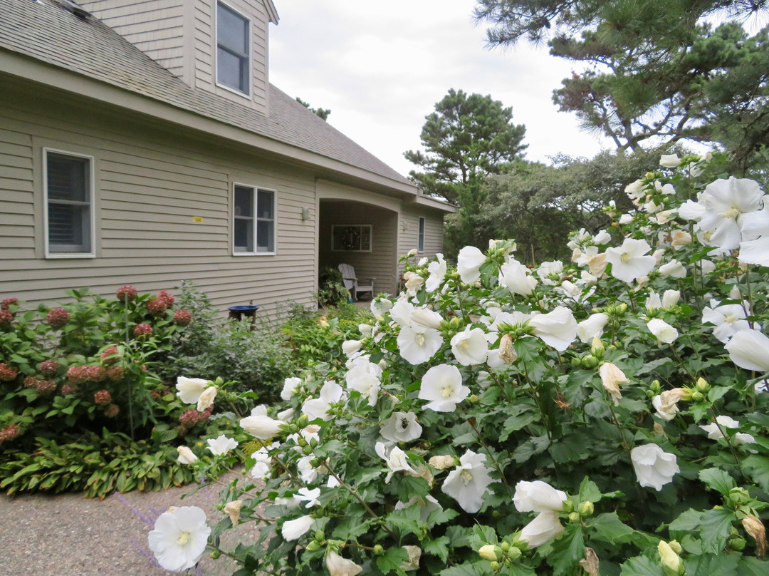 Oyster Cove B&B On Wellfleet Harbor主图
