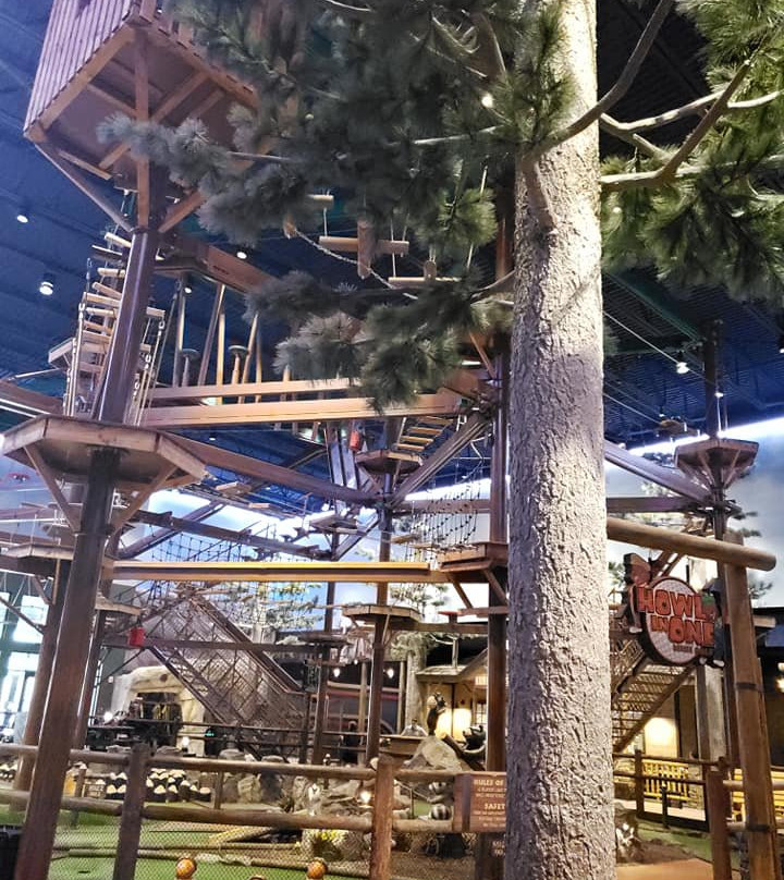 Great Wolf Lodge - Atlanta / LaGrange, GA主图