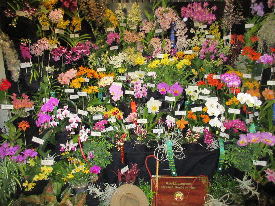 科特度假酒店主图