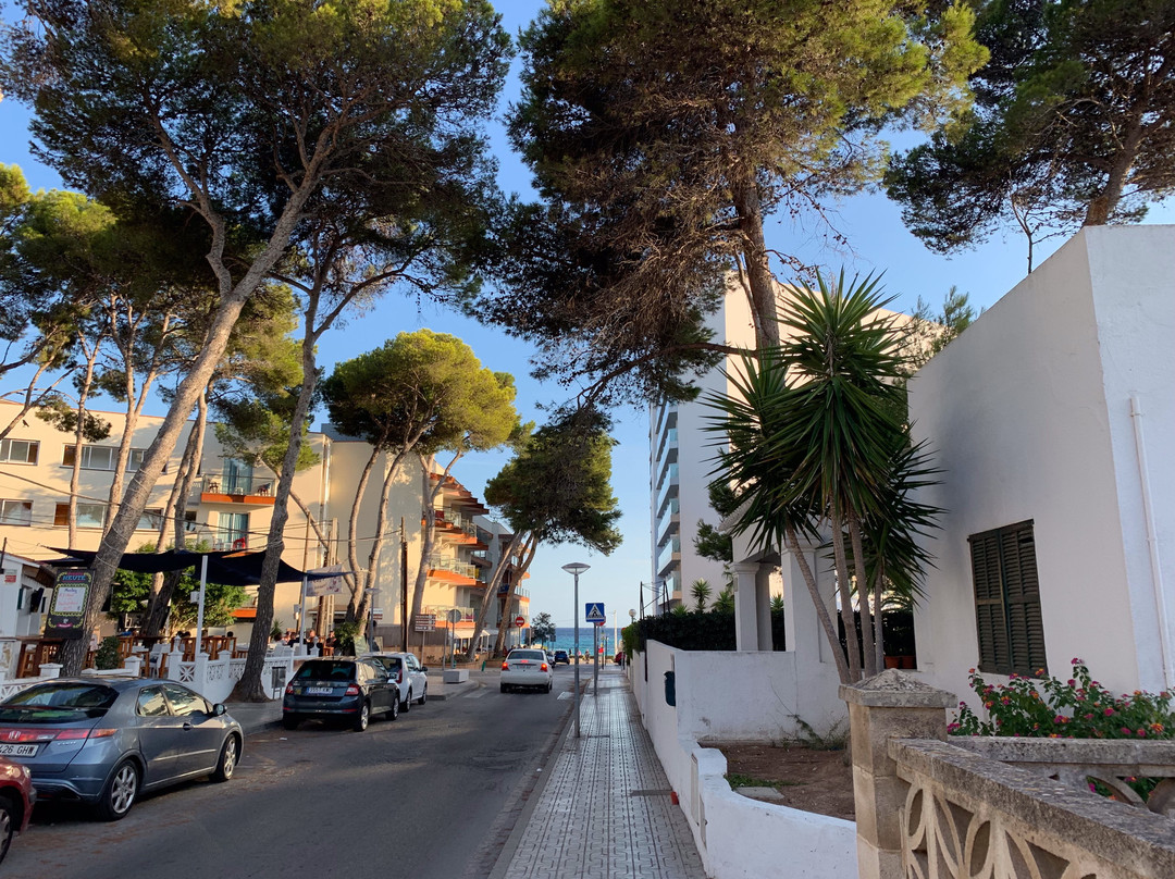Son Moll Sentits Hotel & Spa主图