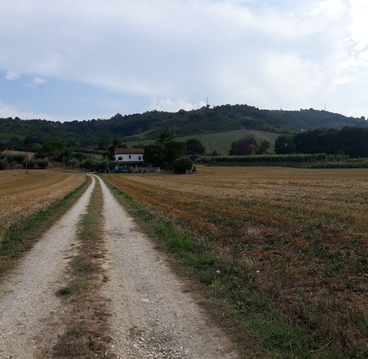B&B Il Giardino Aromatico-官方