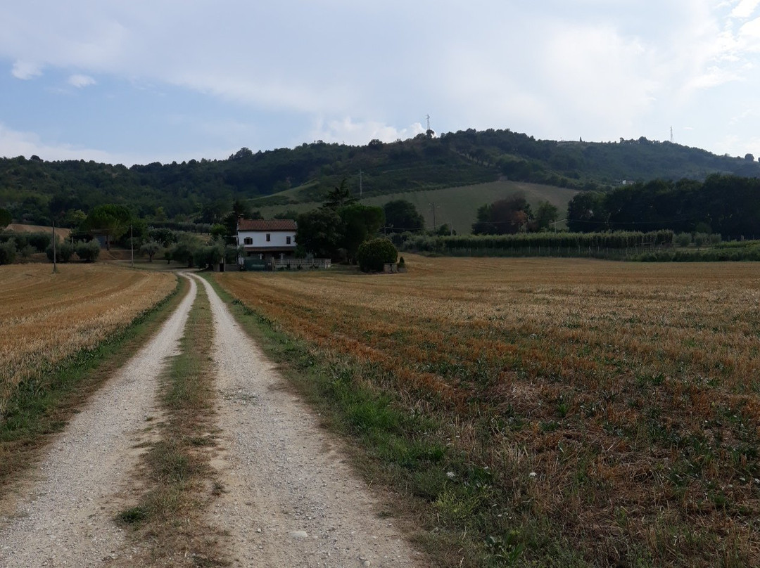 B&B Il Giardino Aromatico主图