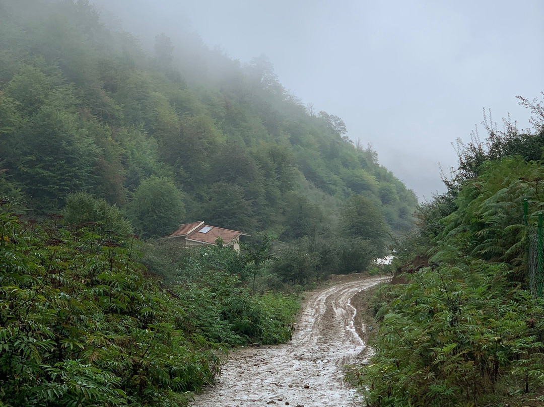 Ziarat Village景点图片