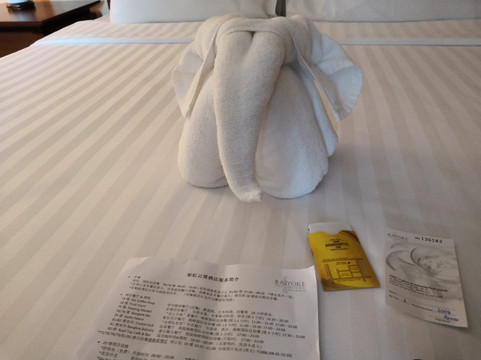 曼谷彩虹云宵酒店主图