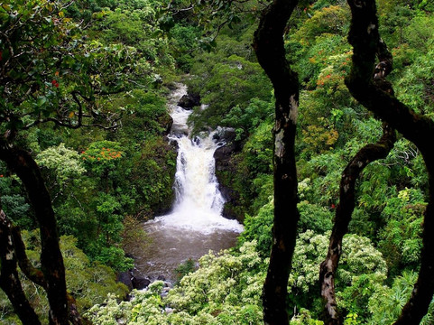 Maui's Best Hike-海库必去景点