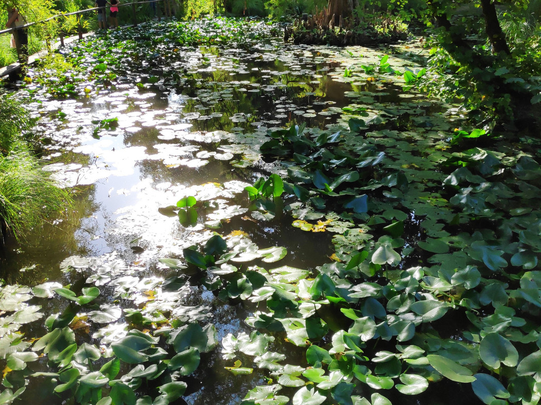 Orto Botanico di Lucca景点图片