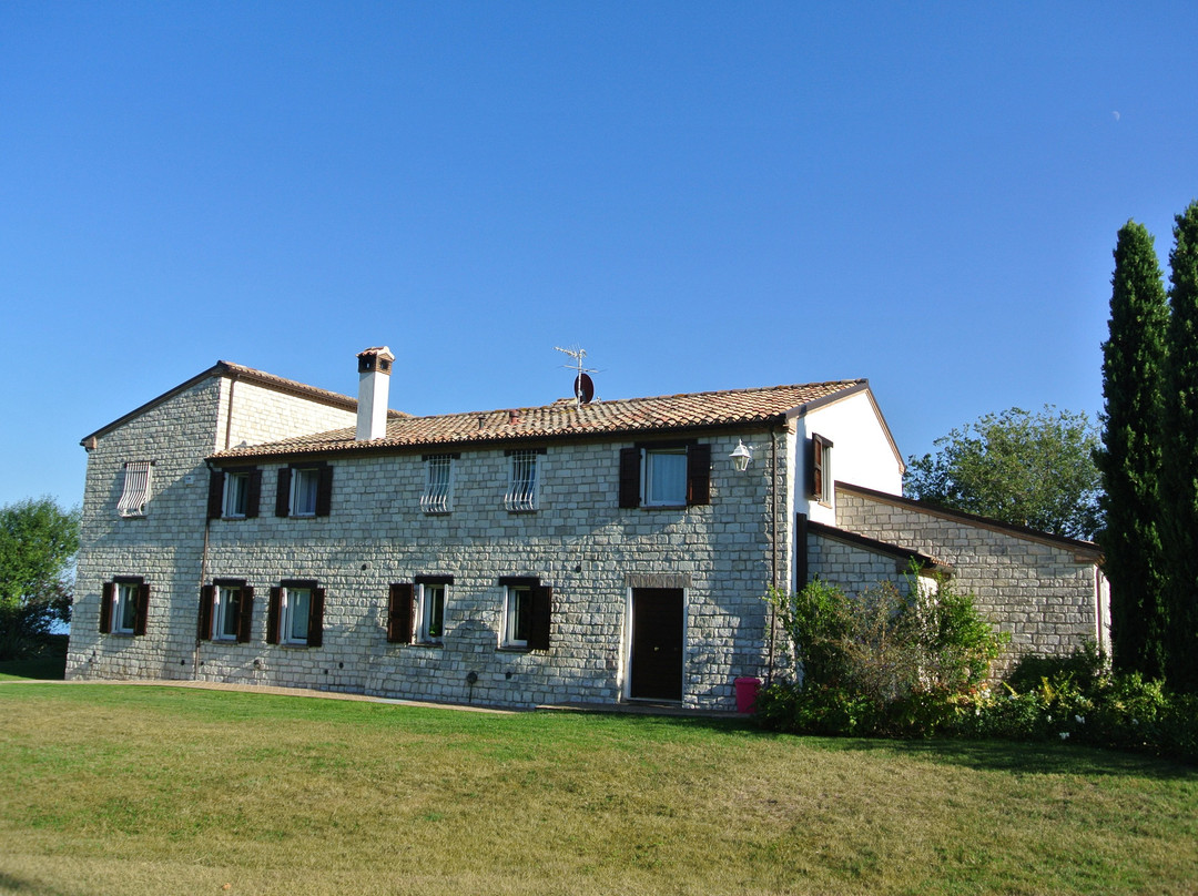 Alle Pendici del Conero主图