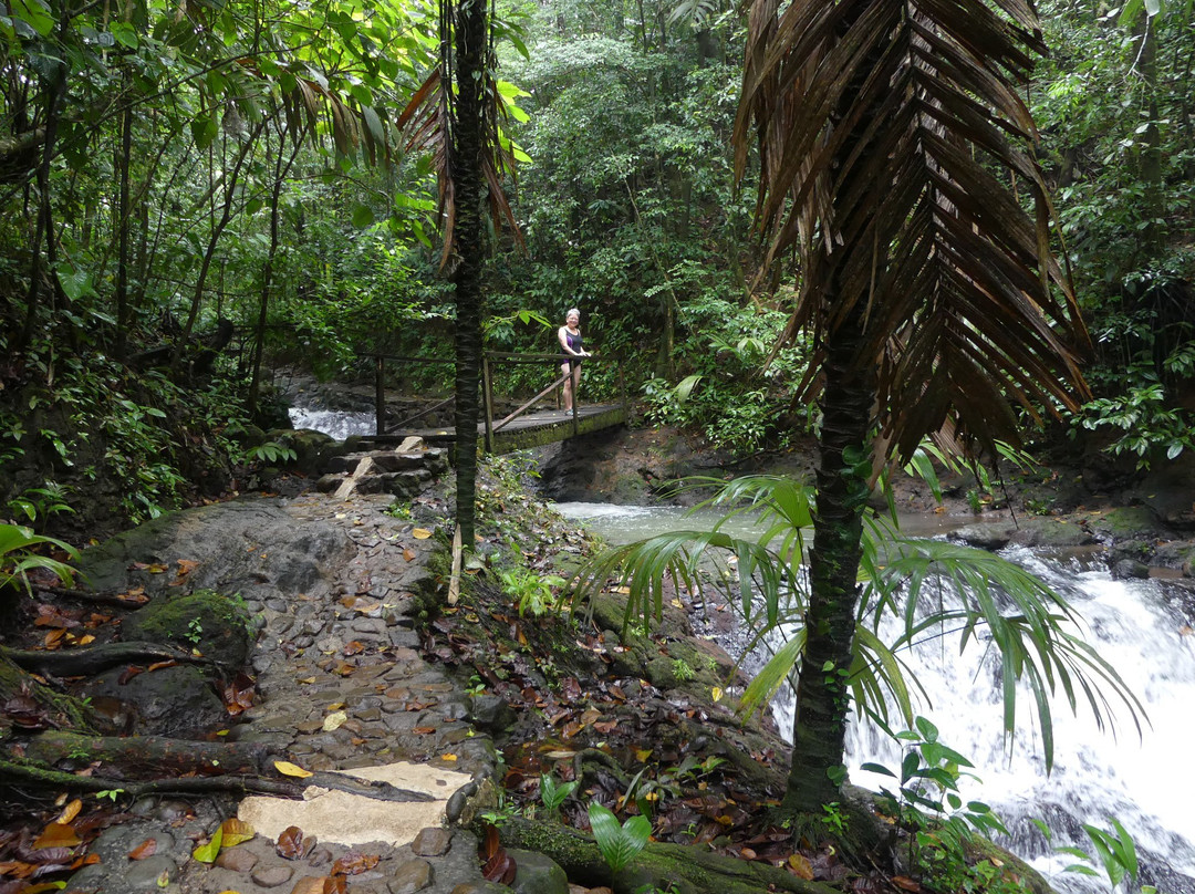 Termales del Bosque Hot Springs-San Rafaeillo必去景点