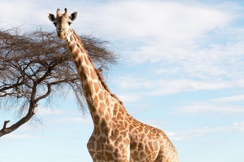 Everlasting Tours and Travel Uganda Ltd-坎帕拉必去景点