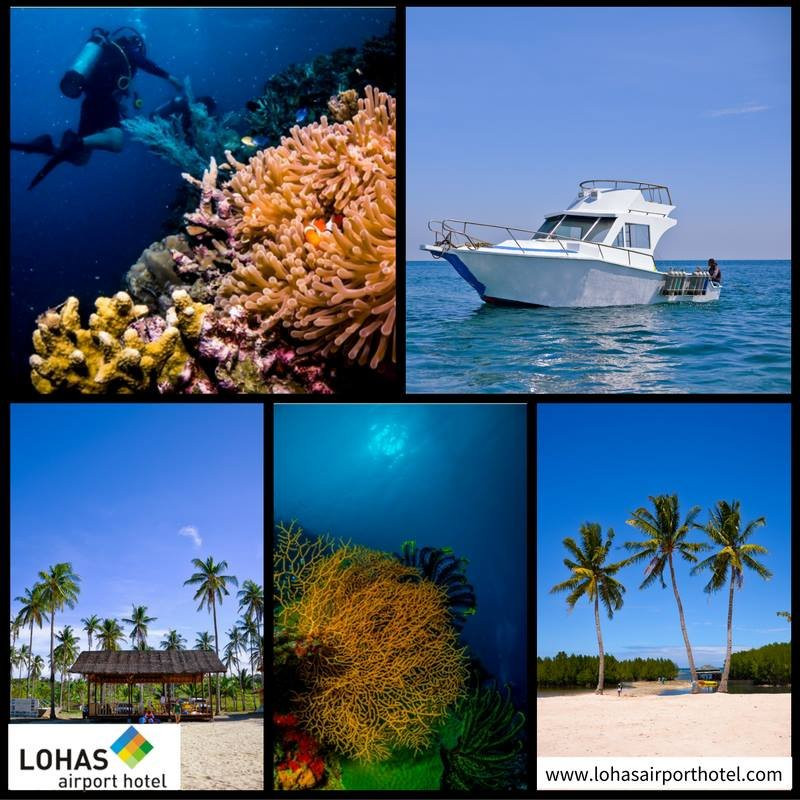 LOHAS Airport Hotel主图