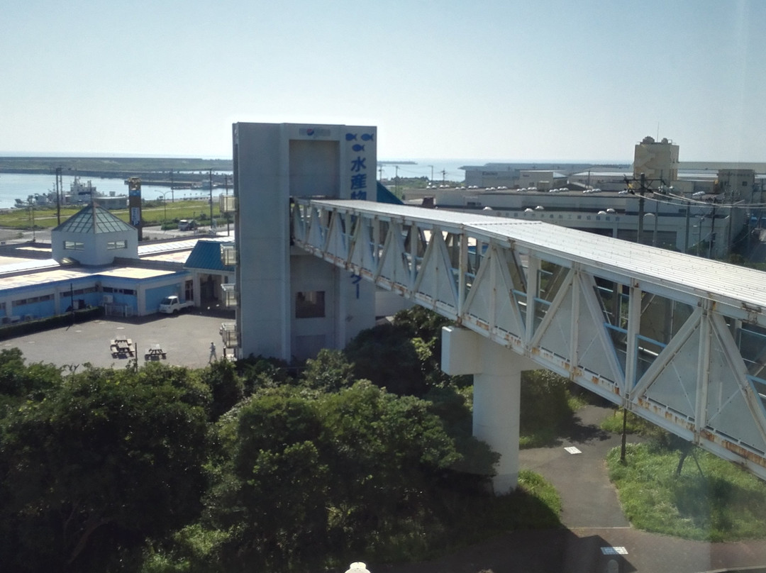 Choshi Port Tower-铫子市必去景点