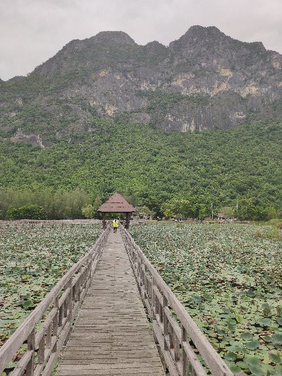 Bueng Bua Nature Observation Center景点图片