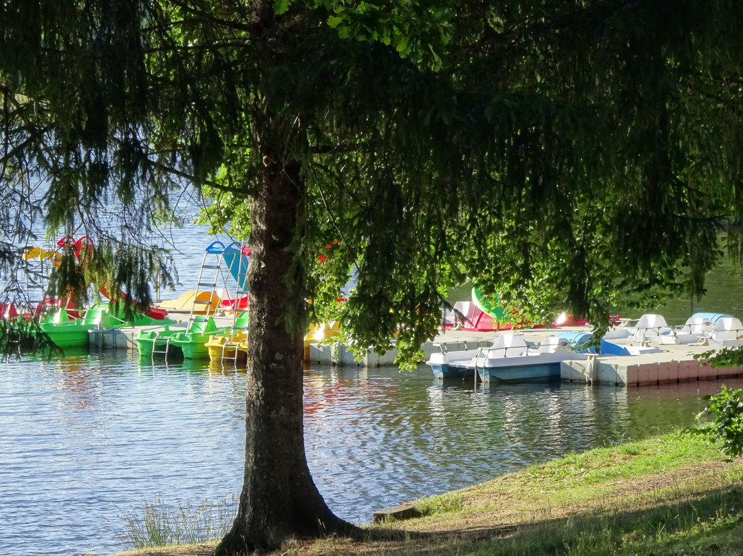Lac de Seychemailles景点图片