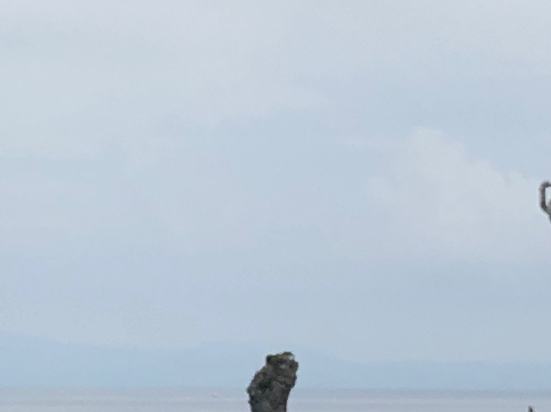 Futago Rock景点图片