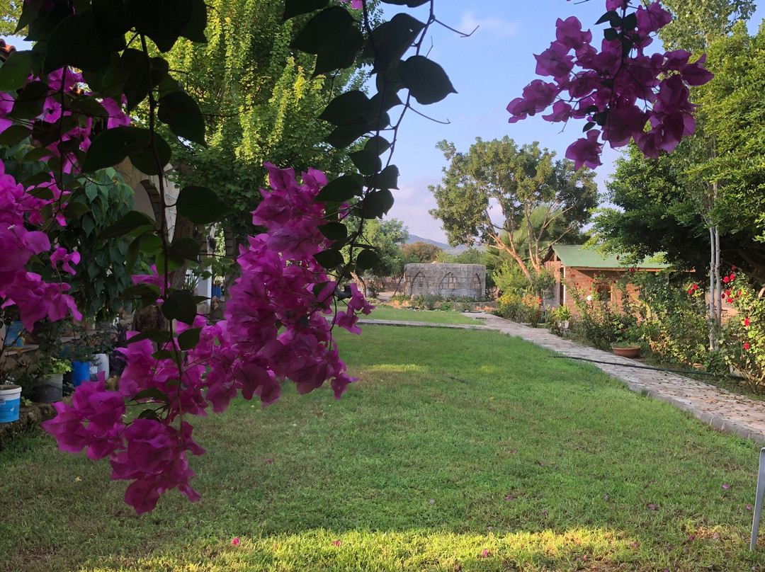 Elausa Hotel & Restaurant主图