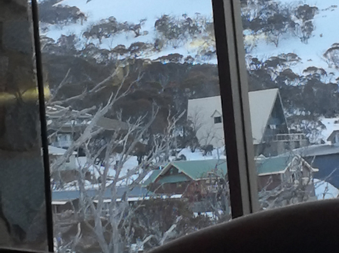 Snowy Gums Smiggins主图