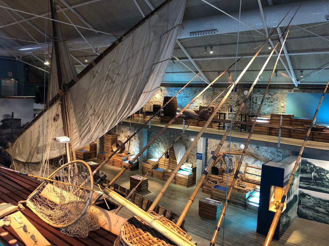 Museu de la Pesca景点图片