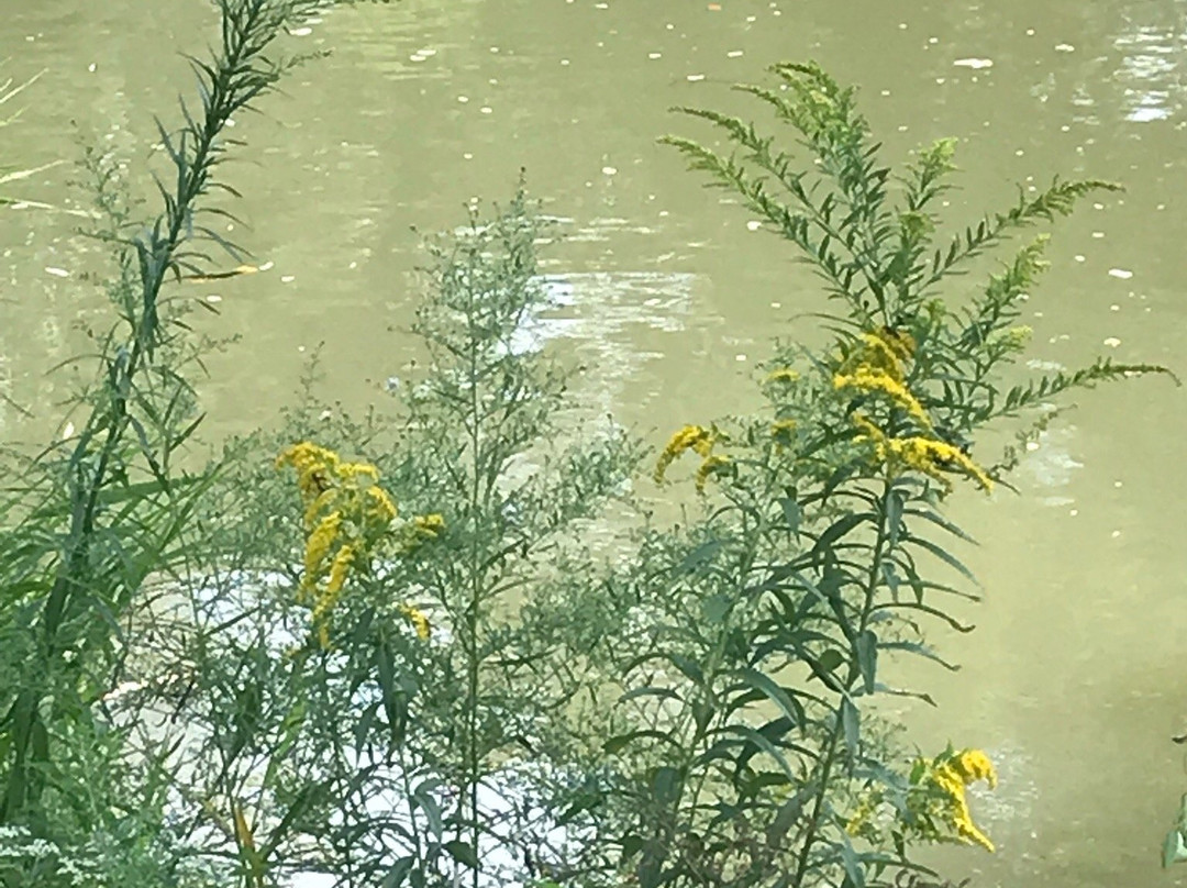 Chagrin Waterfalls-Chagrin Falls必去景点