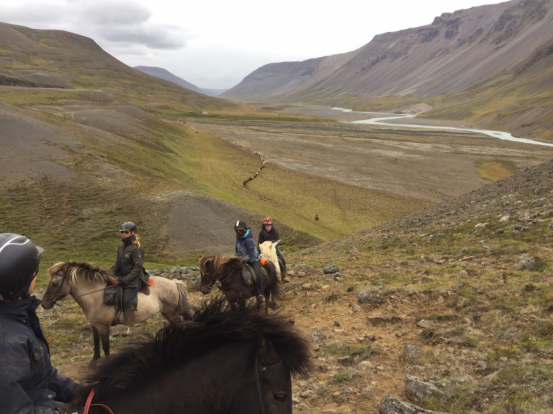 Hestasport - Riding Tours-Varmahlid必去景点