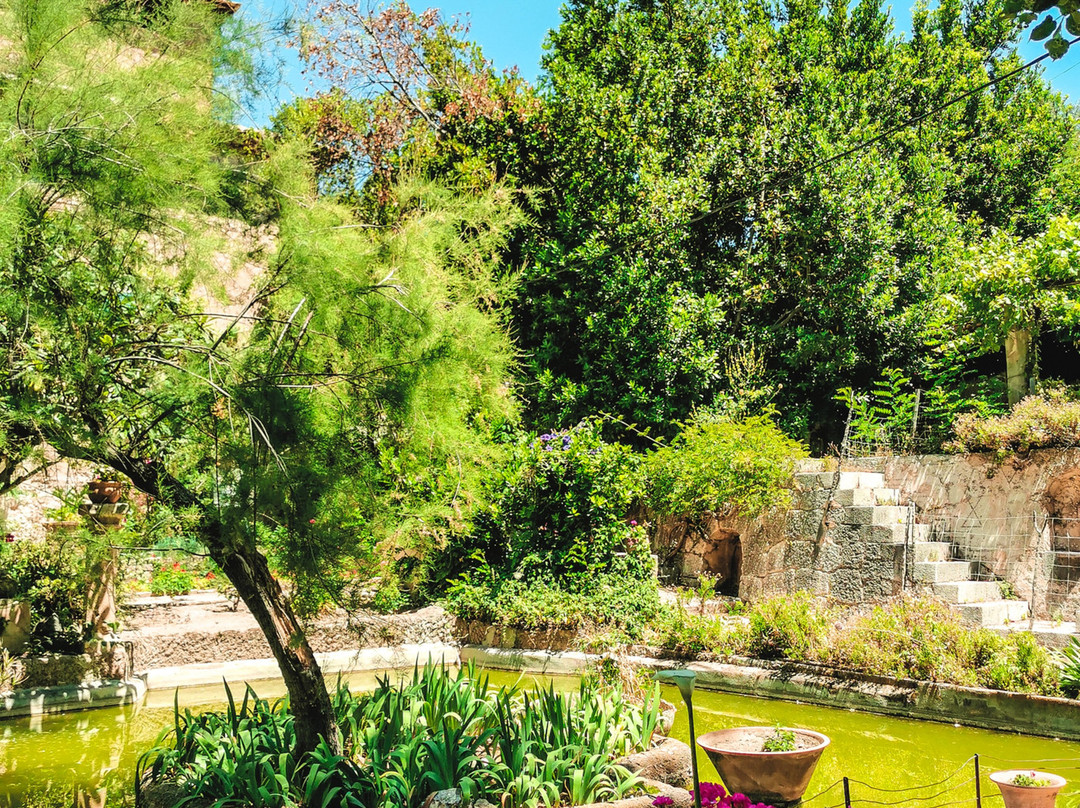 Son Marroig-德亚必去景点