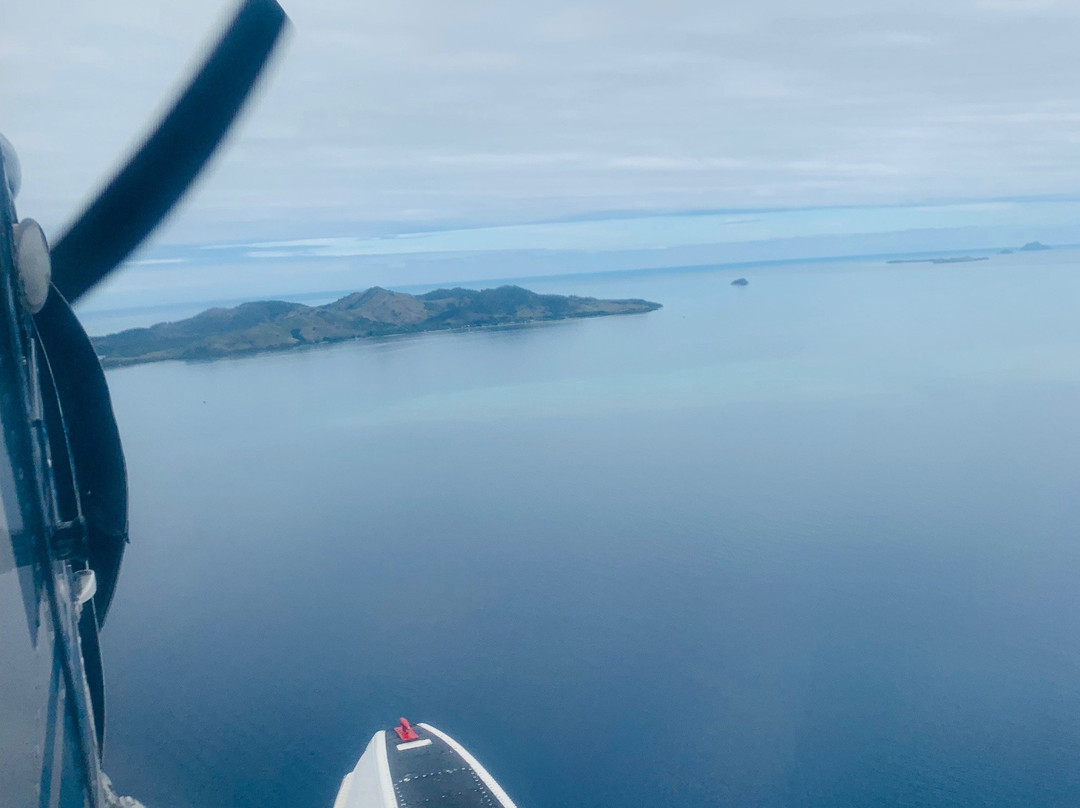 Turtle Airways-纳迪市必去景点