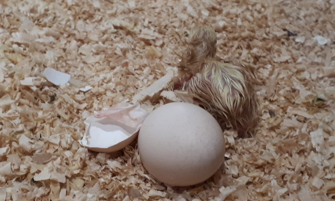 Casa das Ciencias-拉科鲁尼亚必去景点