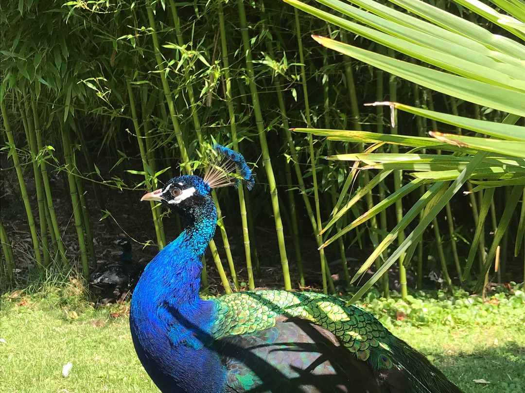 Hofgut Holzmühle主图