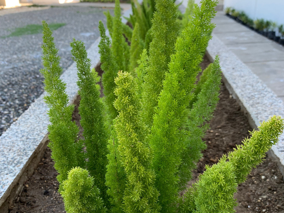 Cebu R Resort Tabuelan主图