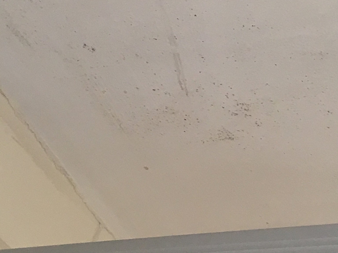 Broadoaks Country House主图