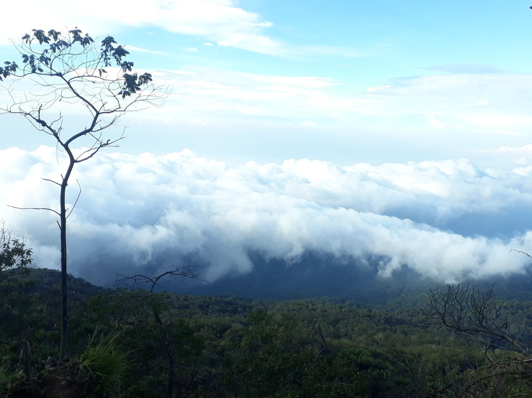 Mt. Ciremai景点图片