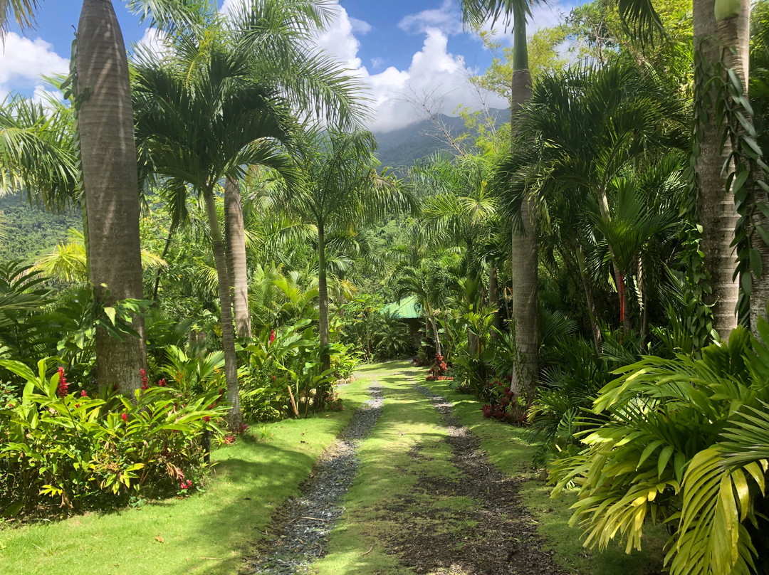 Yuquiyu Treehouses主图