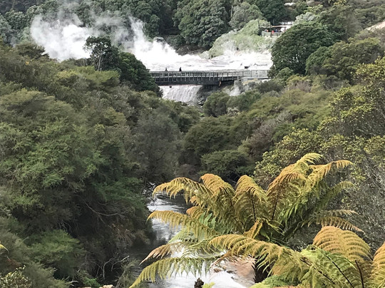 Wicked Wanders-陶兰加必去景点