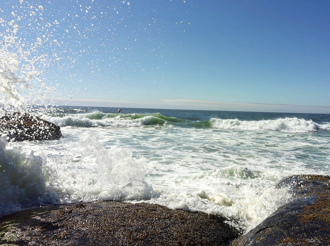 Fireside Motel主图