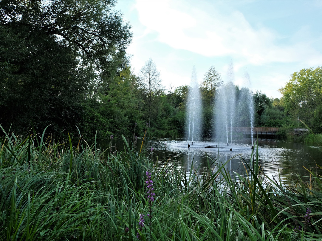 Kurpark-巴特贝文森必去景点