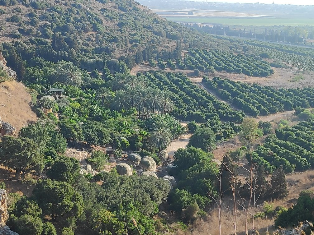 Hotem Hacarmel Nature Reserve景点图片