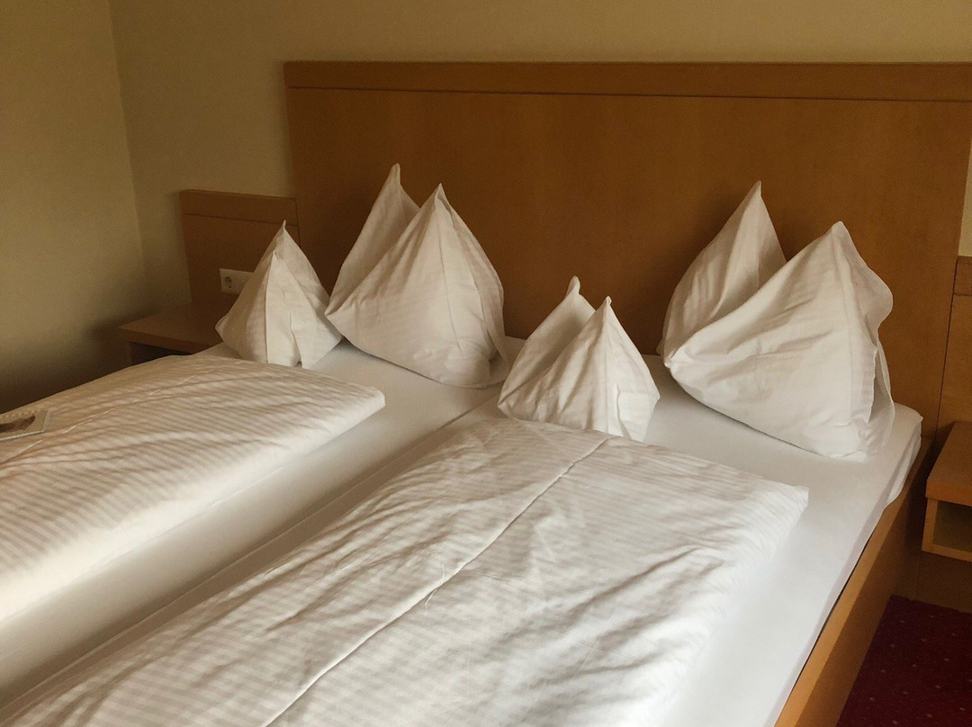 Hotel Restaurant Schachenwald主图