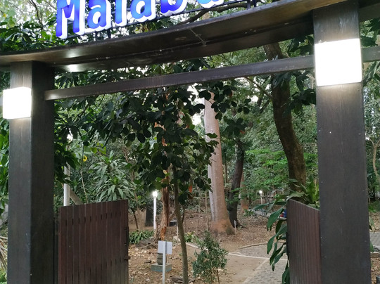 City Forest of Malabar-玛琅必去景点