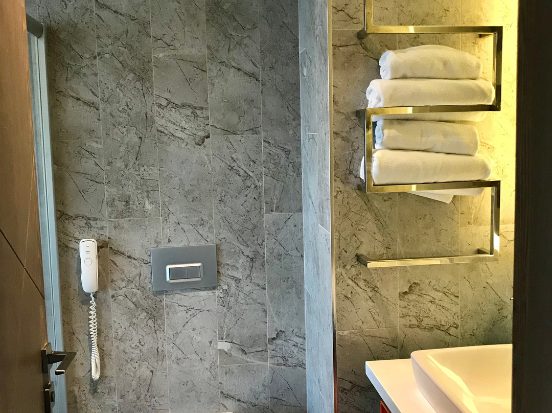 Vib Best Western Antalya主图
