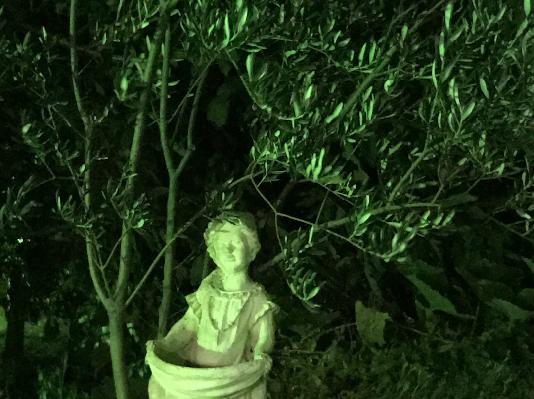 花园住宿旅馆