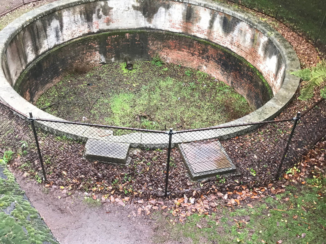 Wombat Hill Pioneer Memorial Tower-戴尔斯福特必去景点
