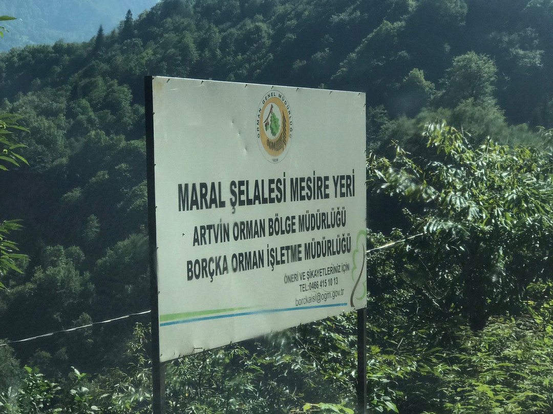 Maral Selalesi景点图片